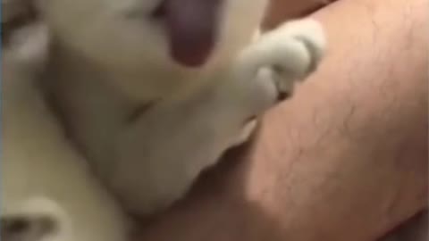 tickle tickle