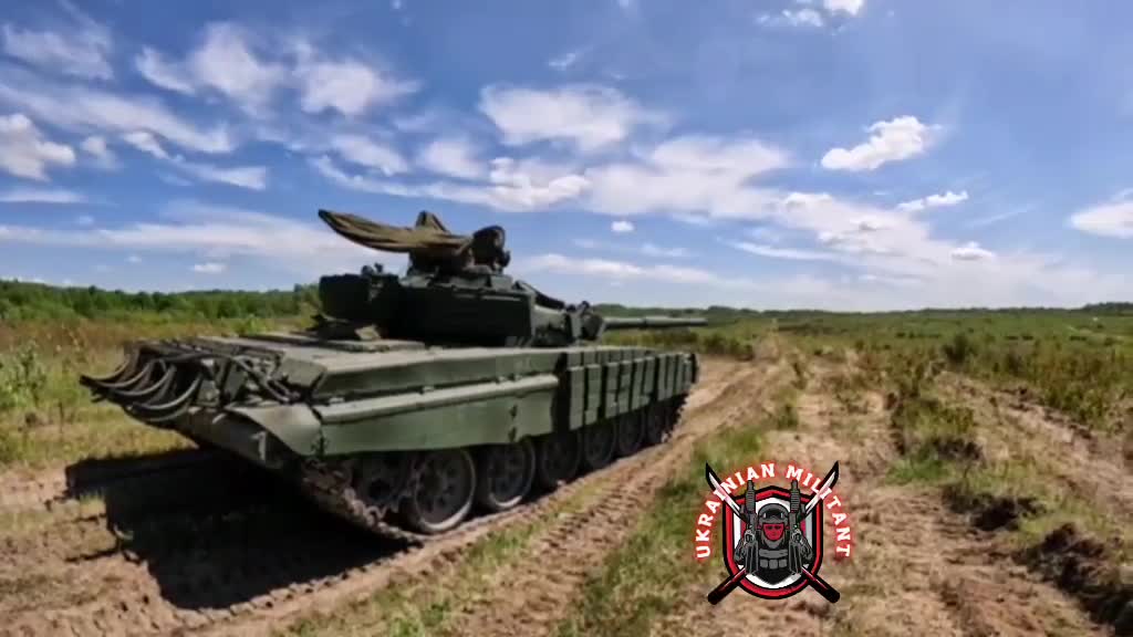 Ukrainian Artillery Brigade Hit and Run