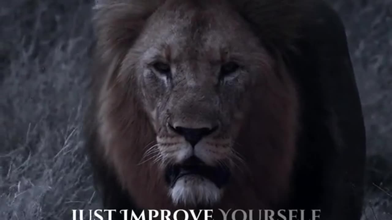 Motivation