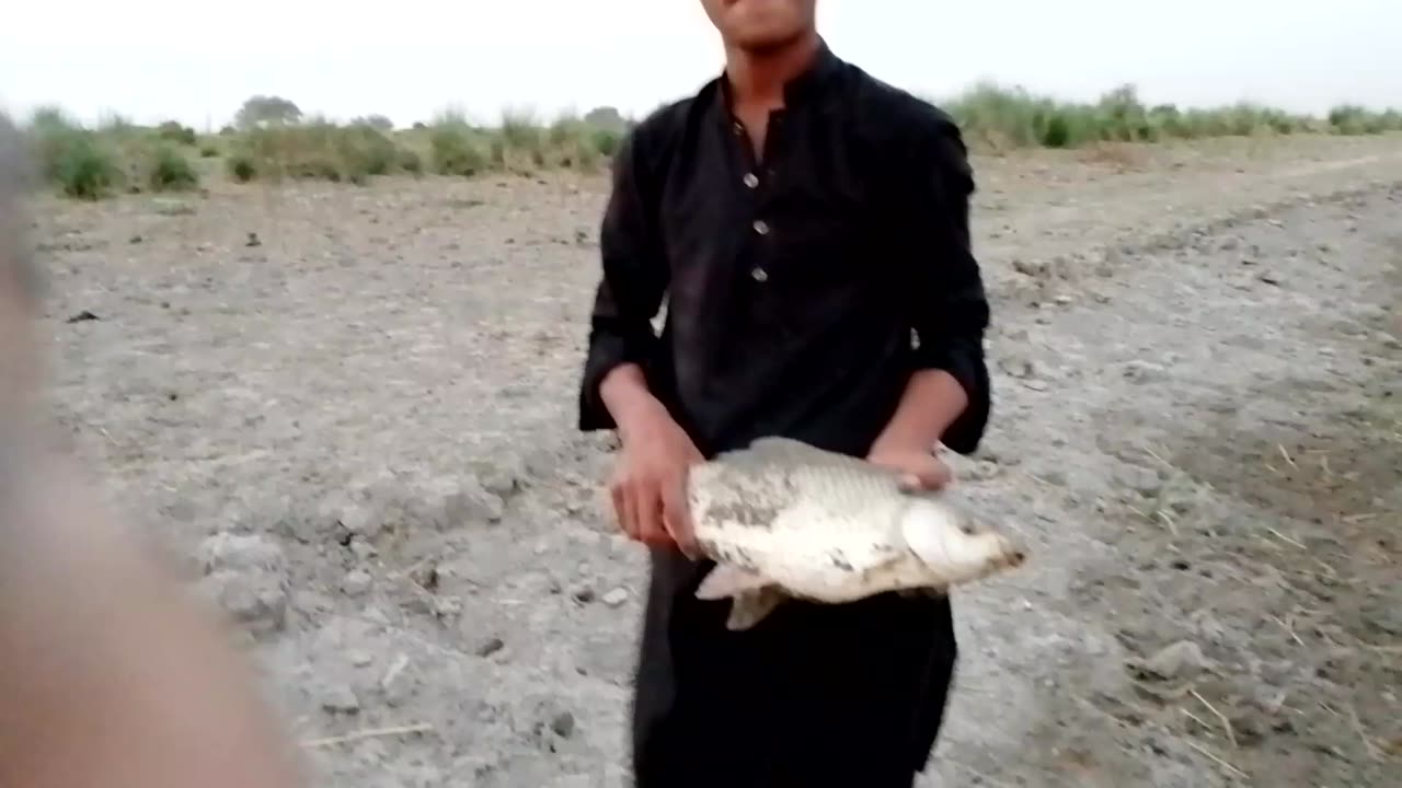 Rahu fishing