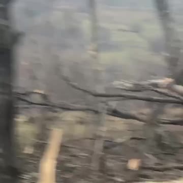 +18 Disturbing Video showing dead and wounded