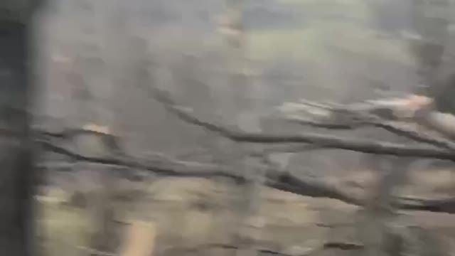 +18 Disturbing Video showing dead and wounded