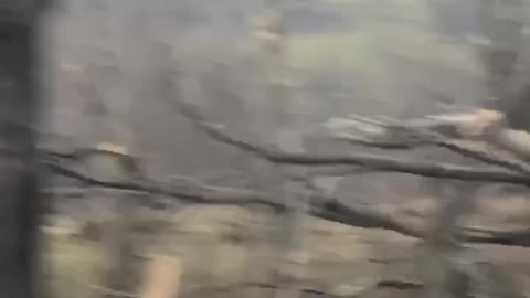 +18 Disturbing Video showing dead and wounded