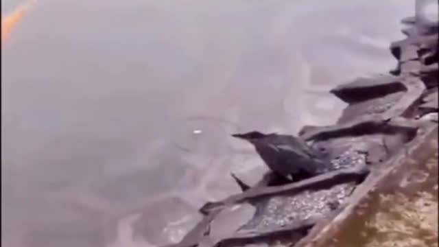 That’s awesome