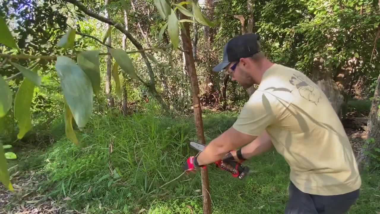 MILWAUKEE m12 hatchet mini CHAINSAW!