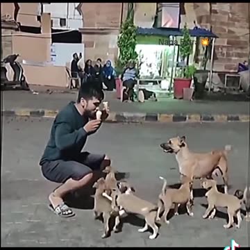 ভালোবাসা তো তখনে হওয়া উচিত যখন একটা মানুষ একজন কে একজন মীর মোঃ ভালোবাসা পয়দা হয়