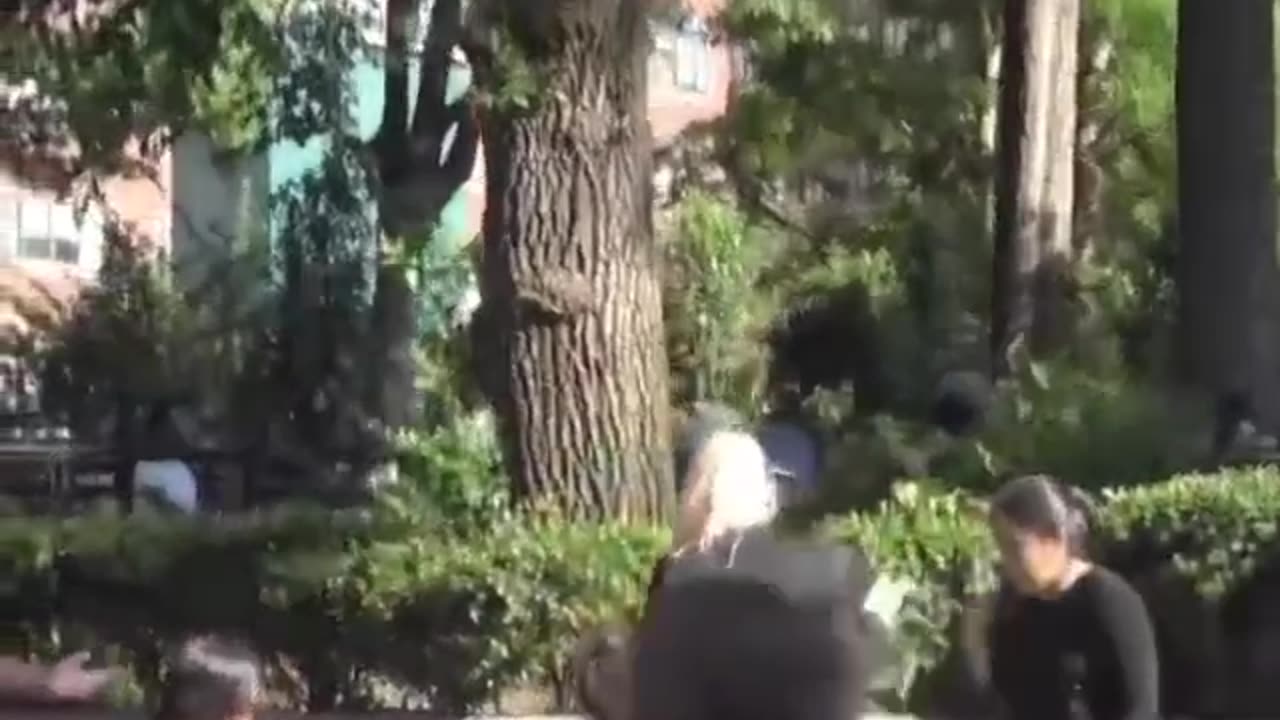Amazing video ππ