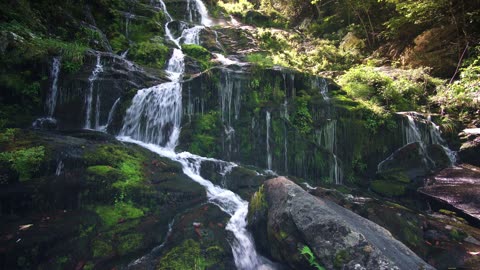 Rivers of Life: The Importance of Rainforest Waterways