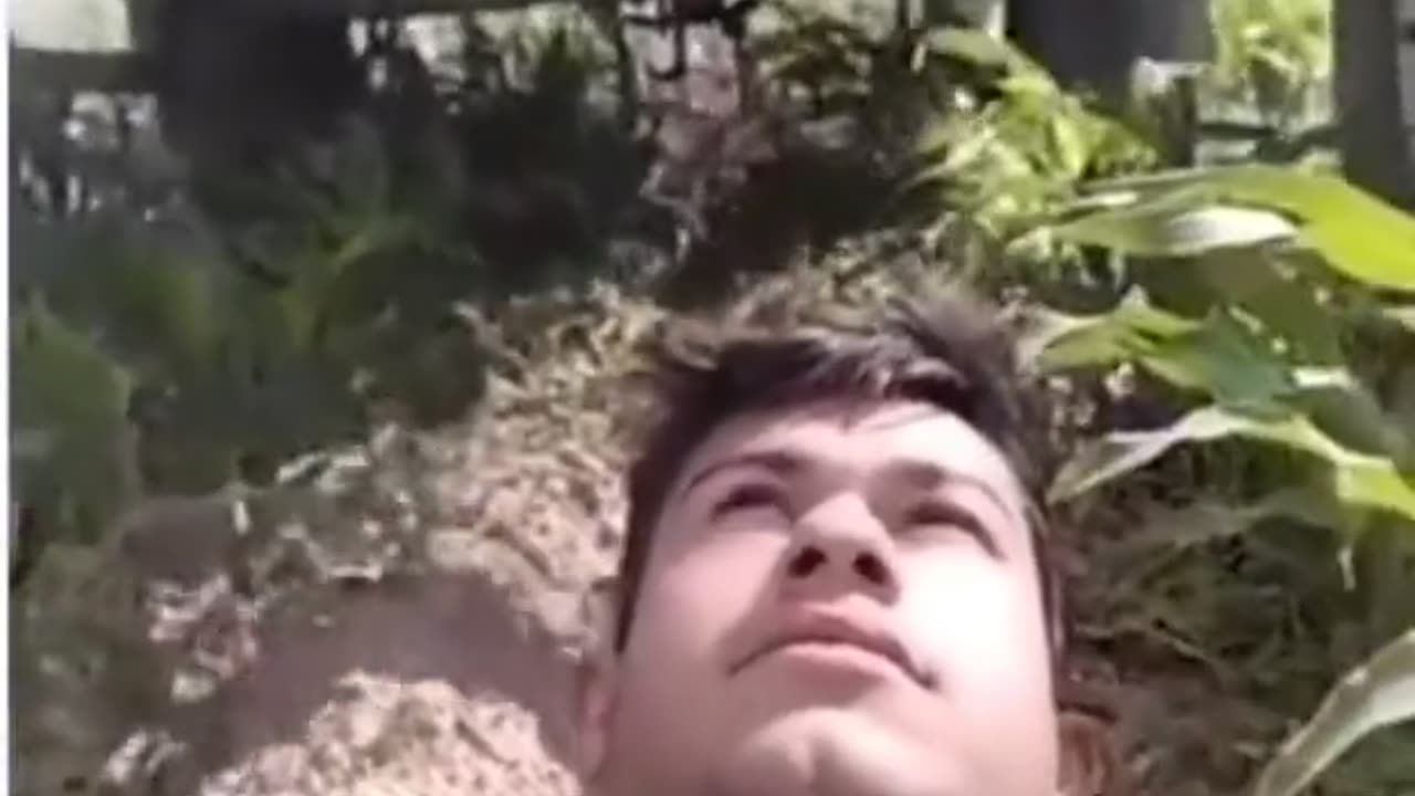 The Incredible World of CCTV: Fascinating Footage from Around the Globe