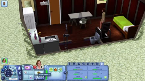 The Sims 3, Mappie 11