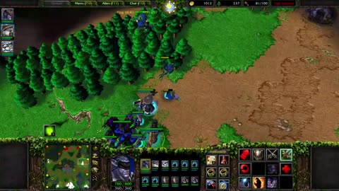 WARCRAFT 3 - DH PANDA POTM VS HUM