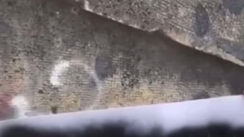 per Jorit grazie ragazzi, grazie di esserci e di essere così in gamba!