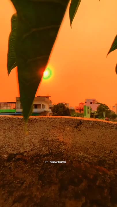 Toor of village and capture