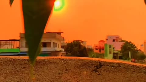 Toor of village and capture