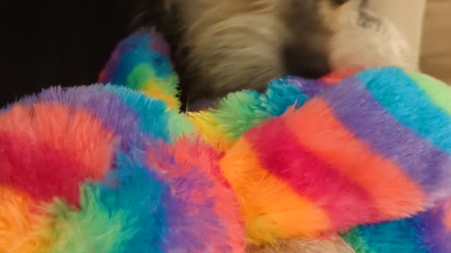 Maya's Toy Reviews - Please Attack the Octopus, Maya!! Work with me!!!