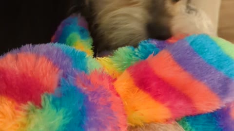 Maya's Toy Reviews - Please Attack the Octopus, Maya!! Work with me!!!