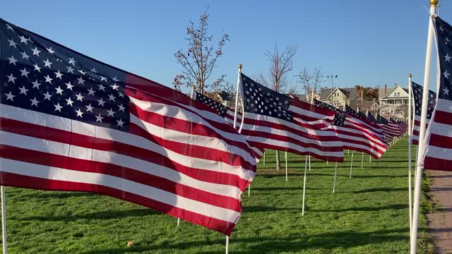 Flag Display at Veterans Park, Norwalk, CT