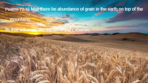 1 Thessalonians 07 The Rapture 4:13-18