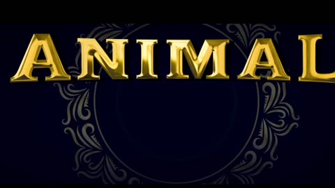 ANIMAL - TRAILER