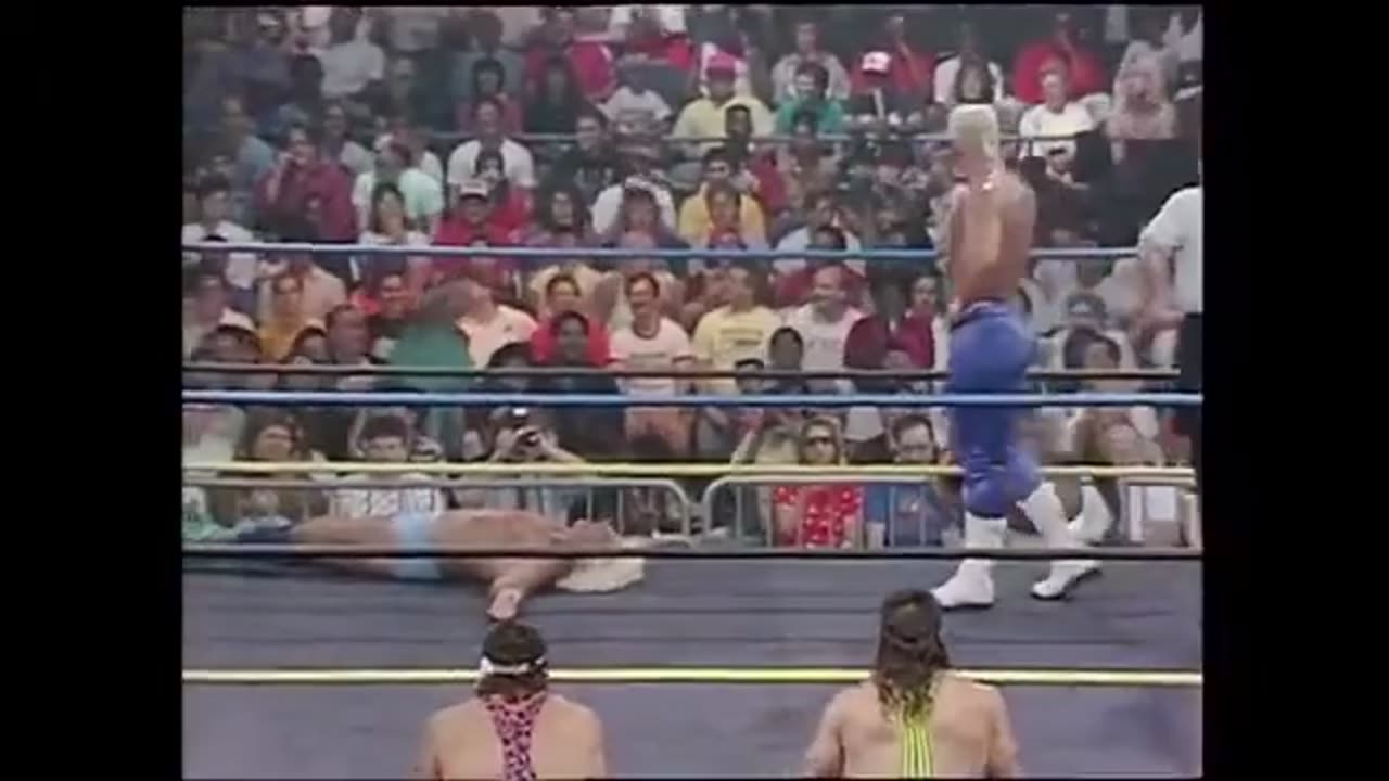 NWA/WCW Ric Flair VS Sting