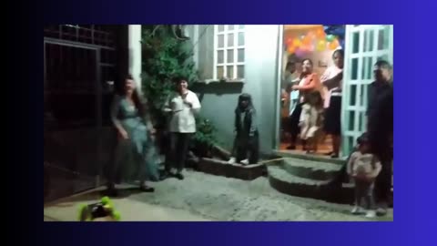 Best Funny Videos Compilation