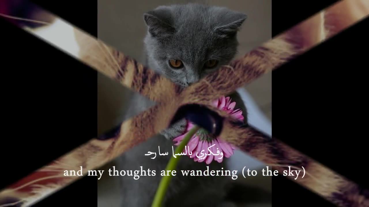 Romantic arabic nasheed {Eng subtitles} | 'Amana' + remix