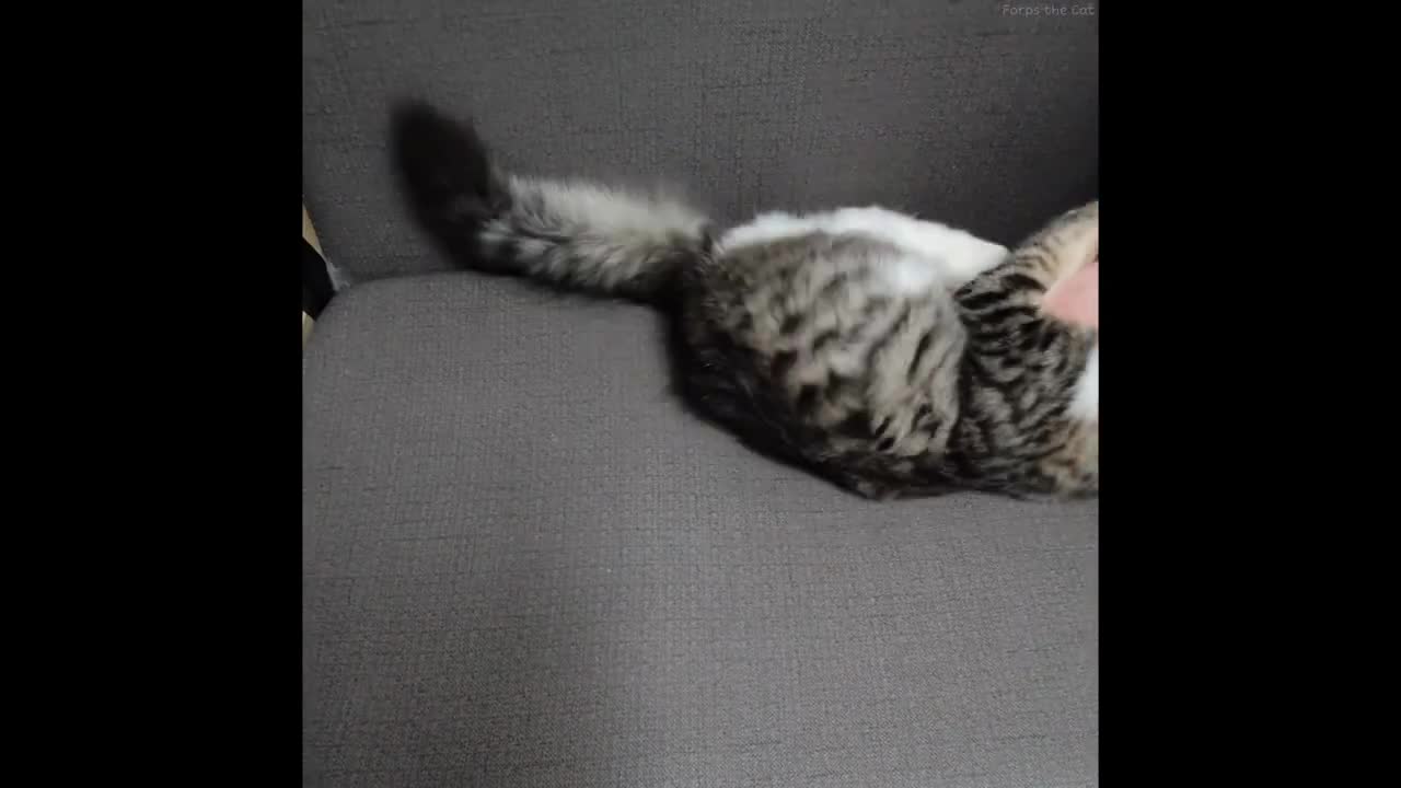 Let me touch you just once