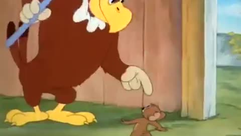 @Tom And Jerry Funny video...