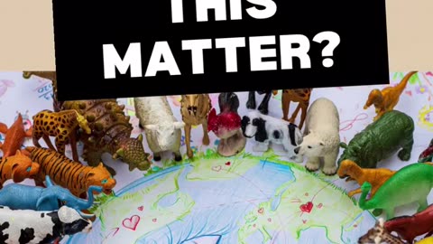 Plastic and chemical have harmful effects...