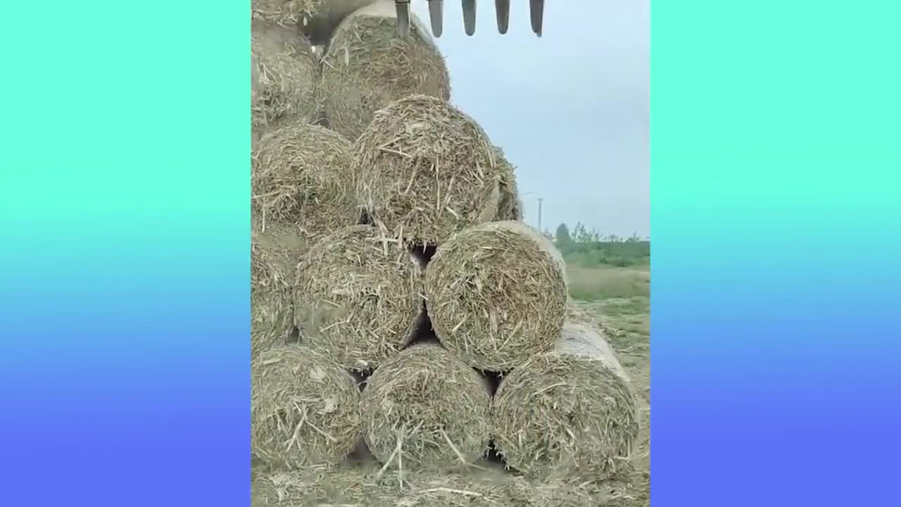 Oddly Satisfying Video That Makes You Sleepy