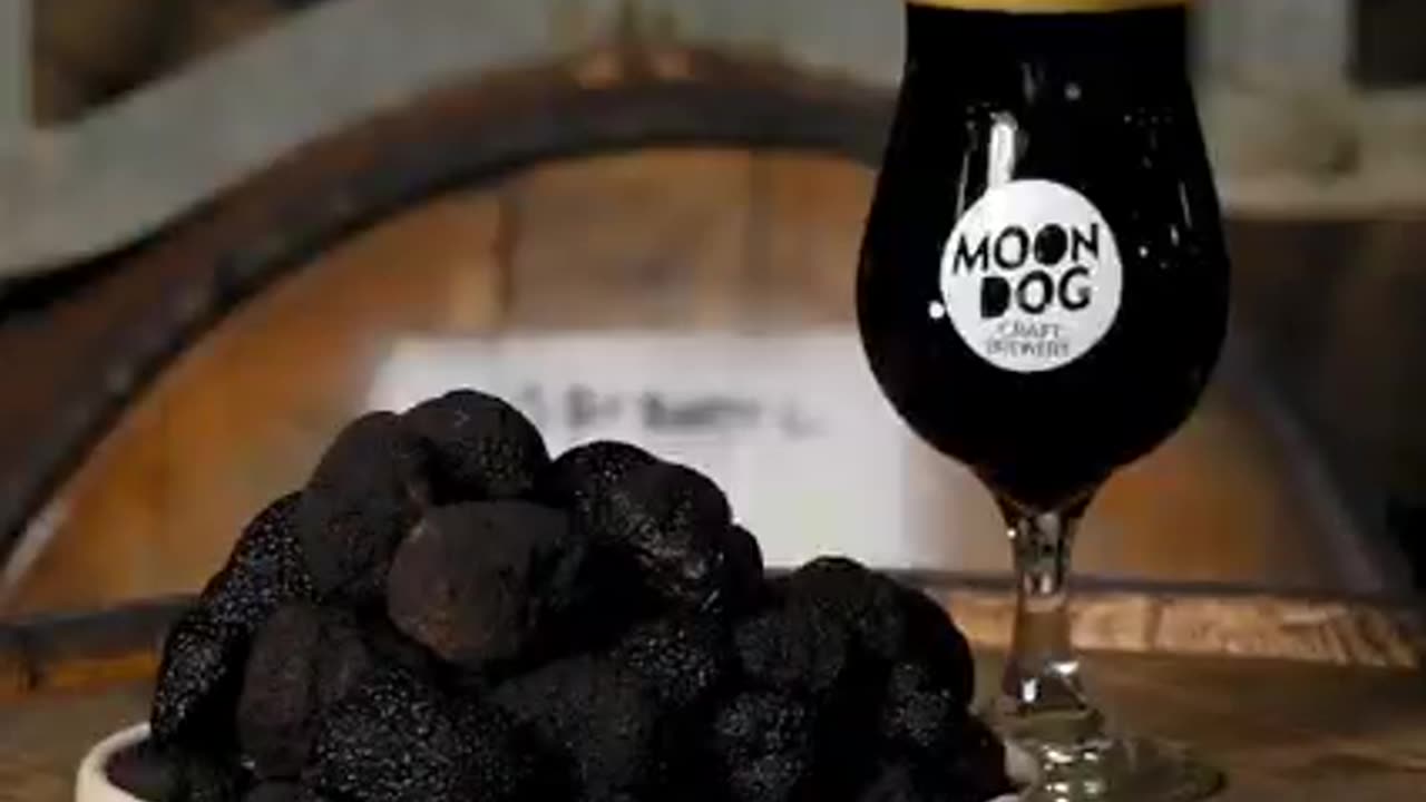 Enjoy the Best Beer