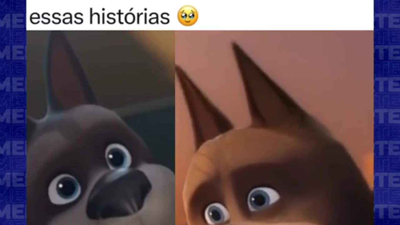 DC Liga dos Superpet.mp4