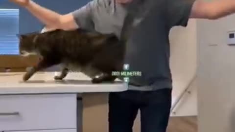 Dogs can land on their feet too.. Not