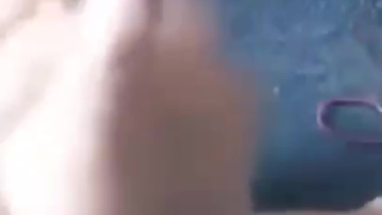 Pets are so funny