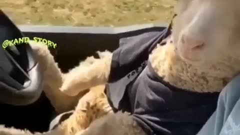 ...!😍