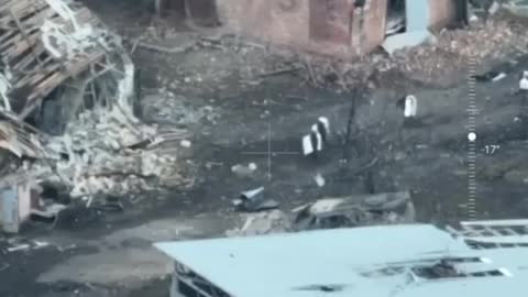 +18 Disturbing Video showing dead and wounded