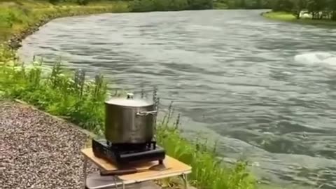 Nature is life
