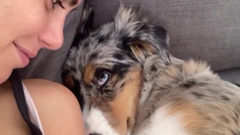 The love in her puppy eyes 🥺