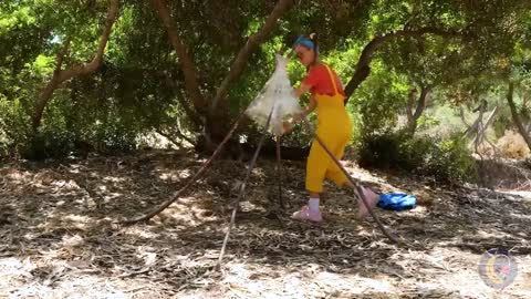 Stop🫢 SNAKE! *24 Hour Outdoor Survival
