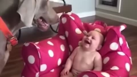 child with dog funny video video for funn