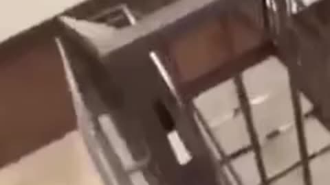 Dashing man fall from the stairs 😅