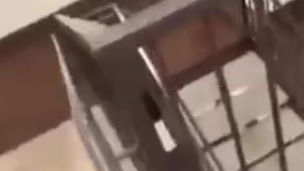 Dashing man fall from the stairs 😅