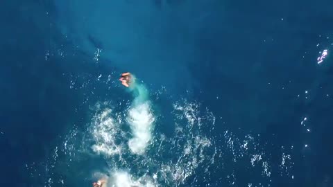 GoPro Girls Jumping Into Dark Blue Water But Not In The Right Way