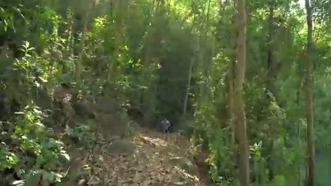 Most Realistic Jurassic World Dominion Film Dinosaur Fighting Movie