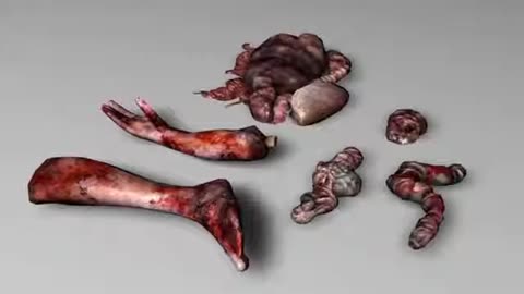 OUTLAST 3D models (.c4d)