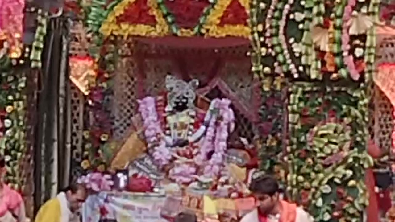 live darshan from Radha Rani temple