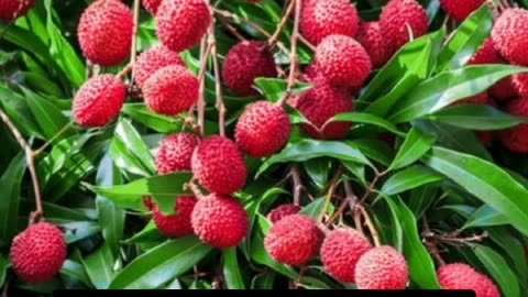 Skin glow with lychees beauty unleashed