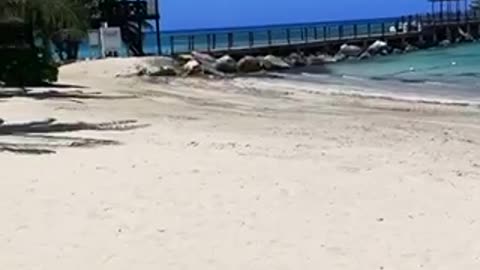 Top 3 All Inclusive Resorts In Jamaica