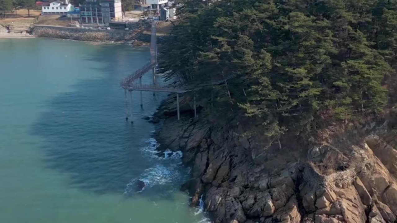 The cherry blossom scenery is better when listened to with a song #kdrama #ost #viral