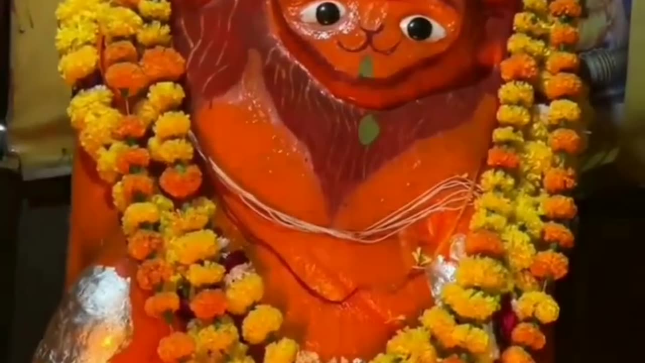 Haunman